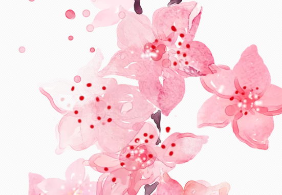 2020年8月21号出生的女孩怎么起<a href=https://www.hmzw.com/html/mingzi.html target=_blank class=infotextkey>名字</a>，<a href=https://www.hmzw.com/html/wuxing.html target=_blank class=infotextkey>五行</a>属什么