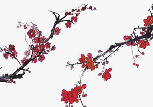 2020年11月6号九月二十一出生的女孩是什么命,起什么<a href=https://m.hmzw.com/html/mingzi.html target=_blank class=infotextkey>名字</a>高分