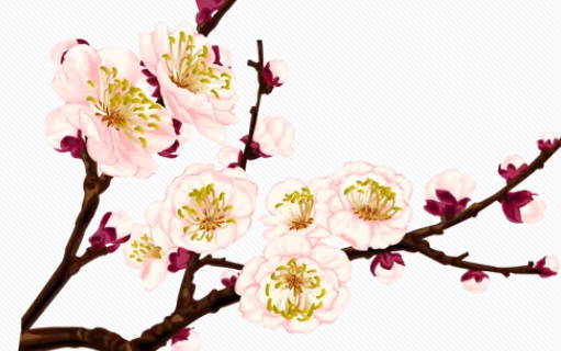 2020年5月8号四月十六生的女孩是什么命，起什么<a href=https://www.hmzw.com/html/mingzi.html target=_blank class=infotextkey>名字</a>高分
