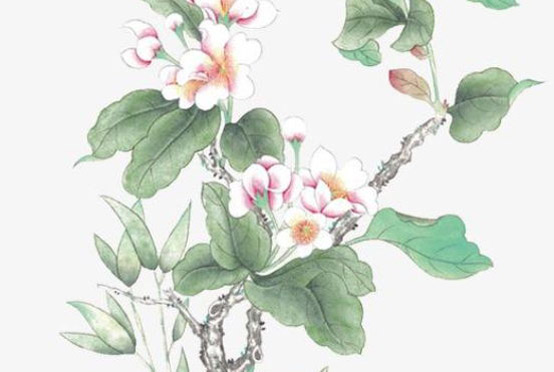 2020年2月15号正月二十二出生的男孩命运好吗，起什么<a href=https://www.hmzw.com/html/mingzi.html target=_blank class=infotextkey>名字</a>好