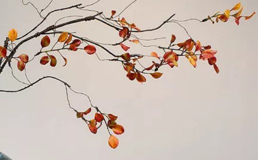 2020年7月3号五月十三生的男孩命运好吗，取什么<a href=https://www.hmzw.com/html/mingzi.html target=_blank class=infotextkey>名字</a>有福气