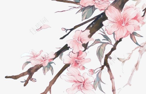 2021年3月13日出生的女<a href=https://m.hmzw.com/html/baobao.html target=_blank class=infotextkey>宝宝</a><a href=https://m.hmzw.com/html/zenyang.html target=_blank class=infotextkey>怎样</a>起名 一听就惊艳