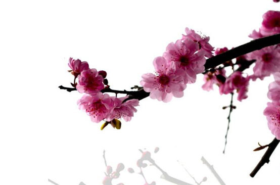 2020年5月女孩<a href=https://m.hmzw.com/html/mingzi.html target=_blank class=infotextkey>名字</a>，鼠年女孩起名喜用字