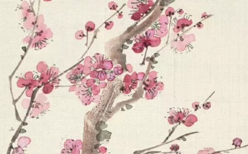 2020年6月22号五月初二夏至生的男孩命运好吗，取什么<a href=https://www.hmzw.com/html/mingzi.html target=_blank class=infotextkey>名字</a>吉祥