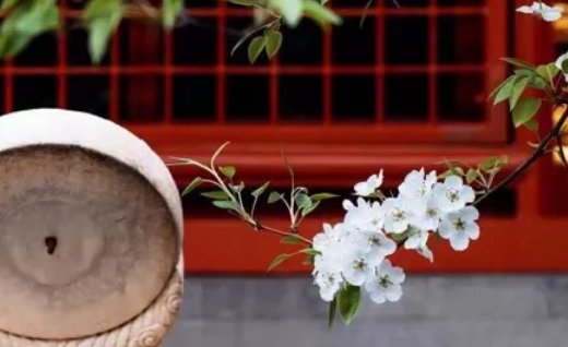 2020年6月10号闰四月十九出生的女孩命好吗,如何取<a href=https://www.hmzw.com/html/mingzi.html target=_blank class=infotextkey>名字</a>