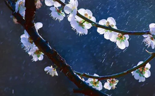 女孩带叶字的<a href=https://www.hmzw.com/html/mingzi.html target=_blank class=infotextkey>名字</a><a href=https://www.hmzw.com/html/tuijian.html target=_blank class=infotextkey>推荐</a> 用叶字取名的<a href=https://www.hmzw.com/html/yuyi.html target=_blank class=infotextkey>寓意</a>