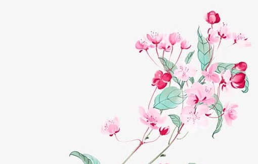 2021年2月3日农历腊月二十二出生的女孩起好听脱俗的<a href=https://m.hmzw.com/html/mingzi.html target=_blank class=infotextkey>名字</a>