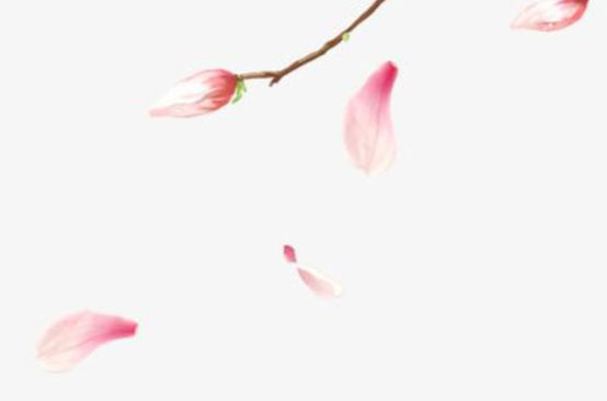 2020年3月4日二月十一生的男孩命运好吗，取什么<a href=https://m.hmzw.com/html/mingzi.html target=_blank class=infotextkey>名字</a>福气好