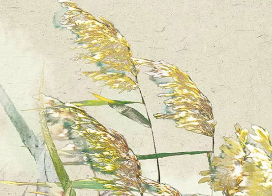 <a href=https://m.hmzw.com/html/bazi.html target=_blank class=infotextkey>八字</a>取名：农历2019年十二月初四出生的女孩起什么<a href=https://m.hmzw.com/html/mingzi.html target=_blank class=infotextkey>名字</a>好