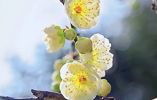 2020年农历十二月腊月出生的<a href=https://www.hmzw.com/html/baobao.html target=_blank class=infotextkey>宝宝</a>是如何取名