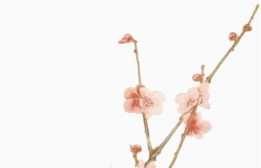 2020年7月30号六月初十生的女<a href=https://m.hmzw.com/html/baobao.html target=_blank class=infotextkey>宝宝</a>命好吗，起什么<a href=https://m.hmzw.com/html/mingzi.html target=_blank class=infotextkey>名字</a>有气质