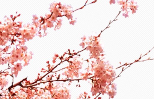 2020年7月28号六月初八出生的女孩是什么命，起什么<a href=https://m.hmzw.com/html/mingzi.html target=_blank class=infotextkey>名字</a>动听