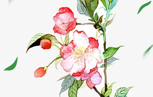 2021年2月10日农历腊月二十九出生的男孩起<a href=https://m.hmzw.com/html/dute.html target=_blank class=infotextkey>独特</a><a href=https://m.hmzw.com/html/yangqi.html target=_blank class=infotextkey>洋气</a>的<a href=https://m.hmzw.com/html/mingzi.html target=_blank class=infotextkey>名字</a>