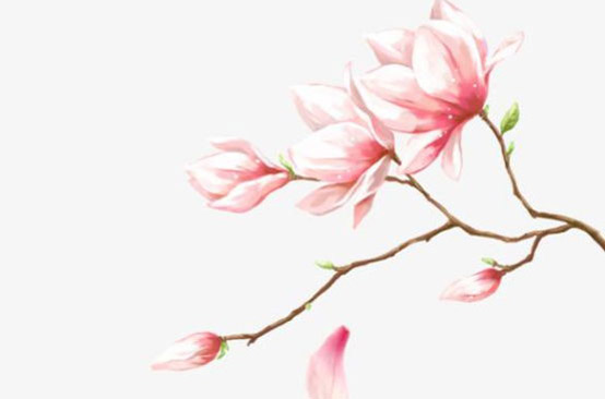 2020年3月4日二月十一生的男孩命运好吗，取什么<a href=https://m.hmzw.com/html/mingzi.html target=_blank class=infotextkey>名字</a>福气好
