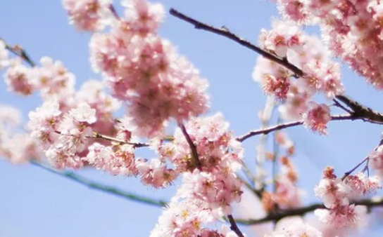 2020年12月24号十一月初十出生的男孩是什么命,<a href=https://www.hmzw.com/html/wuxing.html target=_blank class=infotextkey>五行</a><a href=https://www.hmzw.com/html/bazi.html target=_blank class=infotextkey>八字</a>起名