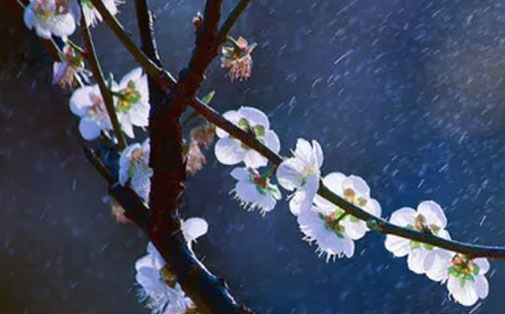 女孩带叶字的<a href=https://www.hmzw.com/html/mingzi.html target=_blank class=infotextkey>名字</a><a href=https://www.hmzw.com/html/tuijian.html target=_blank class=infotextkey>推荐</a> 用叶字取名的<a href=https://www.hmzw.com/html/yuyi.html target=_blank class=infotextkey>寓意</a>