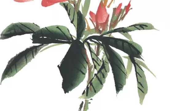 2020年4月5号出生的男孩怎么起<a href=https://www.hmzw.com/html/mingzi.html target=_blank class=infotextkey>名字</a>，<a href=https://www.hmzw.com/html/mingzi.html target=_blank class=infotextkey>名字</a>要三才五格吉