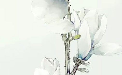 中间带株的女孩<a href=https://www.hmzw.com/html/mingzi.html target=_blank class=infotextkey>名字</a> 株字女孩起名大全