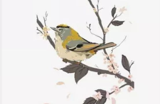 2020年4月22号出生的男孩如何起<a href=https://www.hmzw.com/html/mingzi.html target=_blank class=infotextkey>名字</a>，起名的忌讳是什么