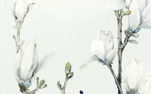 带株字的女孩<a href=https://www.hmzw.com/html/mingzi.html target=_blank class=infotextkey>名字</a><a href=https://www.hmzw.com/html/yuyi.html target=_blank class=infotextkey>寓意</a> 株字取名