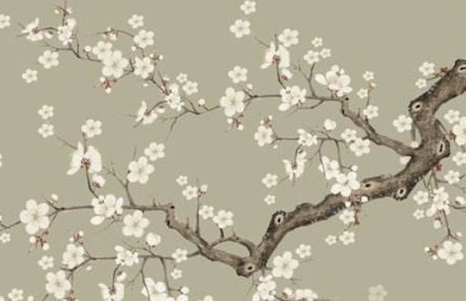 2021年5月2日出生的女宝宝怎样起名 源自诗经楚辞