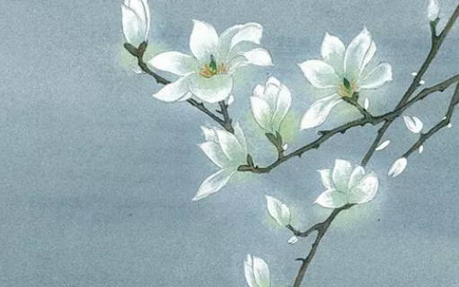 2020年12月11号出生的女孩<a href=https://m.hmzw.com/html/wuxing.html target=_blank class=infotextkey>五行</a>属什么，<a href=https://m.hmzw.com/html/mianfei.html target=_blank class=infotextkey>免费</a><a href=https://m.hmzw.com/html/bazi.html target=_blank class=infotextkey>八字</a>起<a href=https://m.hmzw.com/html/mingzi.html target=_blank class=infotextkey>名字</a>