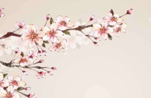 2021年4月27日出生的女孩起什么<a href=https://www.hmzw.com/html/mingzi.html target=_blank class=infotextkey>名字</a> 仙气清冷