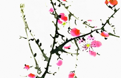 2020年7月16号五月二十六生的男孩命运好吗，取什么<a href=https://m.hmzw.com/html/mingzi.html target=_blank class=infotextkey>名字</a><a href=https://m.hmzw.com/html/yuyi.html target=_blank class=infotextkey>寓意</a>好
