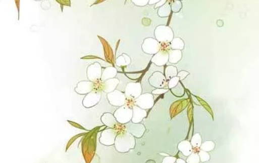 2020年6月6号闰四月十五生的男孩命运好吗，取什么<a href=https://www.hmzw.com/html/mingzi.html target=_blank class=infotextkey>名字</a>吉祥