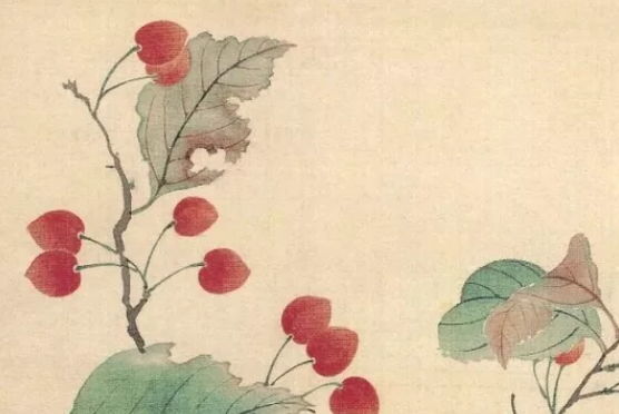 2020年5月8号出生的女孩起什么<a href=https://m.hmzw.com/html/mingzi.html target=_blank class=infotextkey>名字</a>好，<a href=https://m.hmzw.com/html/wuxing.html target=_blank class=infotextkey>五行</a>属什么