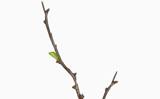 2020年9月5号七月十八出生的女孩是什么命,起什么<a href=https://www.hmzw.com/html/mingzi.html target=_blank class=infotextkey>名字</a>好