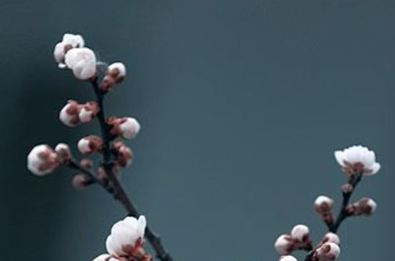 2020年农历二月出生的男<a href=https://www.hmzw.com/html/haizi.html target=_blank class=infotextkey>孩子</a>怎么取名