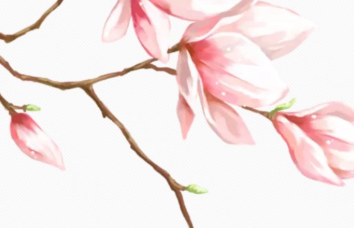 2020年7月24号六月初四生的女<a href=https://m.hmzw.com/html/baobao.html target=_blank class=infotextkey>宝宝</a>命好吗，起什么<a href=https://m.hmzw.com/html/mingzi.html target=_blank class=infotextkey>名字</a>有涵义