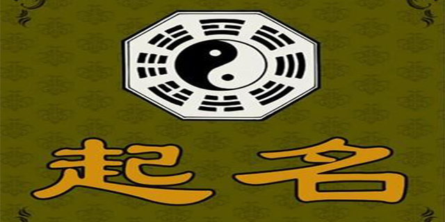 贸易公司<a href=https://www.hmzw.com/html/mingzi.html target=_blank class=infotextkey>名字</a>有哪些注意事项，好听又<a href=https://www.hmzw.com/html/jili.html target=_blank class=infotextkey>吉利</a>的<a href=https://www.hmzw.com/html/mingzi.html target=_blank class=infotextkey>名字</a><a href=https://www.hmzw.com/html/tuijian.html target=_blank class=infotextkey>推荐</a>