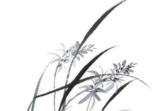 2020年3月2号出生的男孩起什么<a href=https://m.hmzw.com/html/mingzi.html target=_blank class=infotextkey>名字</a>好，<a href=https://m.hmzw.com/html/wuxing.html target=_blank class=infotextkey>五行</a>属什么