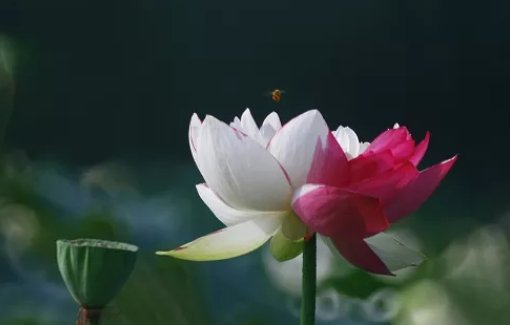 2020鼠年十一月出生的<a href=https://m.hmzw.com/html/baobao.html target=_blank class=infotextkey>宝宝</a>取什么<a href=https://m.hmzw.com/html/xiaoming.html target=_blank class=infotextkey>小名</a>好听