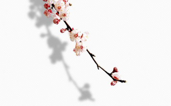 2020年9月5号七月十八出生的女孩是什么命,起什么<a href=https://www.hmzw.com/html/mingzi.html target=_blank class=infotextkey>名字</a>好