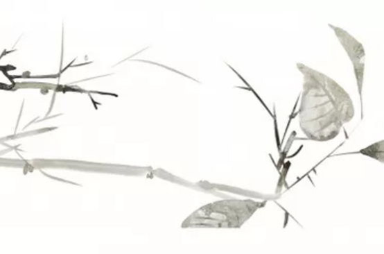 2020年2月24号二月初二出生的女孩是什么命，如何起<a href=https://m.hmzw.com/html/mingzi.html target=_blank class=infotextkey>名字</a>好