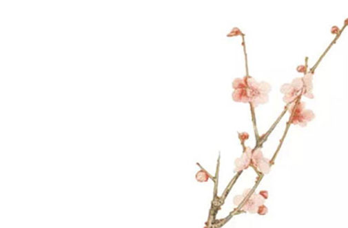 带荷字的女孩<a href=https://www.hmzw.com/html/mingzi.html target=_blank class=infotextkey>名字</a>唯美 荷字取名女孩