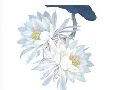 2020年4月26日四月初四生的男孩命运好吗，起什么<a href=https://m.hmzw.com/html/yuyi.html target=_blank class=infotextkey>寓意</a>佳