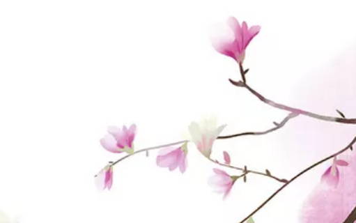 2020年5月16号四月二十四生的女孩是什么命，结合<a href=https://m.hmzw.com/html/bazi.html target=_blank class=infotextkey>八字</a>起名