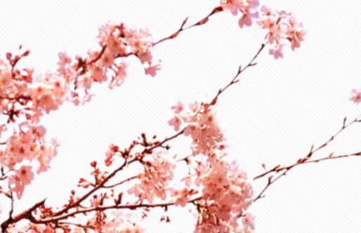 2020年7月27号六月初七出生的女孩是什么命，如何<a href=https://m.hmzw.com/html/bazi.html target=_blank class=infotextkey>八字</a>起名