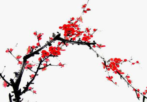 2020年11月8号九月二十三出生的女孩是什么命,起什么<a href=https://www.hmzw.com/html/mingzi.html target=_blank class=infotextkey>名字</a>高分