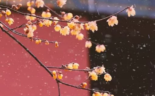 2021年2月18日农历正月初七出生的女孩<a href=https://m.hmzw.com/html/mianfei.html target=_blank class=infotextkey>免费</a>周易<a href=https://m.hmzw.com/html/shengchen.html target=_blank class=infotextkey>生辰</a>取名