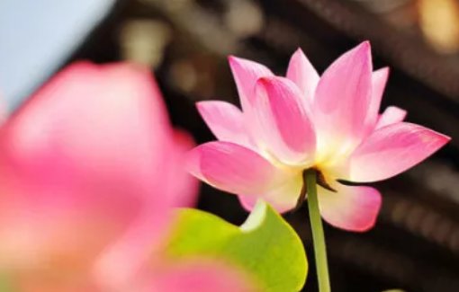 2020年8月男孩取什么<a href=https://www.hmzw.com/html/mingzi.html target=_blank class=infotextkey>名字</a>好,<a href=https://www.hmzw.com/html/yuyi.html target=_blank class=infotextkey>寓意</a>聪明好名介绍