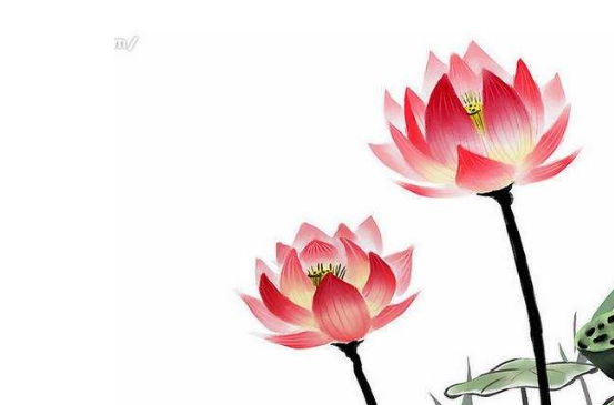2020年3月7号出生的男孩起什么<a href=https://m.hmzw.com/html/mingzi.html target=_blank class=infotextkey>名字</a>好，<a href=https://m.hmzw.com/html/wuxing.html target=_blank class=infotextkey>五行</a>属什么