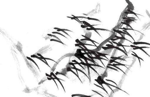 2021年3月21日出生的<a href=https://m.hmzw.com/html/haizi.html target=_blank class=infotextkey>孩子</a>命运好吗,二月初九的<a href=https://m.hmzw.com/html/baobao.html target=_blank class=infotextkey>宝宝</a><a href=https://m.hmzw.com/html/bazi.html target=_blank class=infotextkey>八字</a>起<a href=https://m.hmzw.com/html/mingzi.html target=_blank class=infotextkey>名字</a>