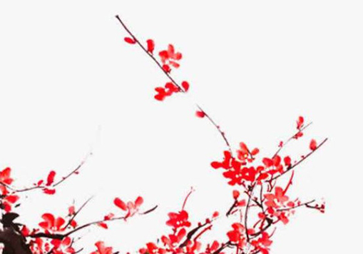 2020年11月8号九月二十三出生的女孩是什么命,起什么<a href=https://www.hmzw.com/html/mingzi.html target=_blank class=infotextkey>名字</a>高分