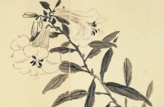 2020年4月25号出生的男孩怎么起<a href=https://m.hmzw.com/html/mingzi.html target=_blank class=infotextkey>名字</a>，结合古诗词起名
